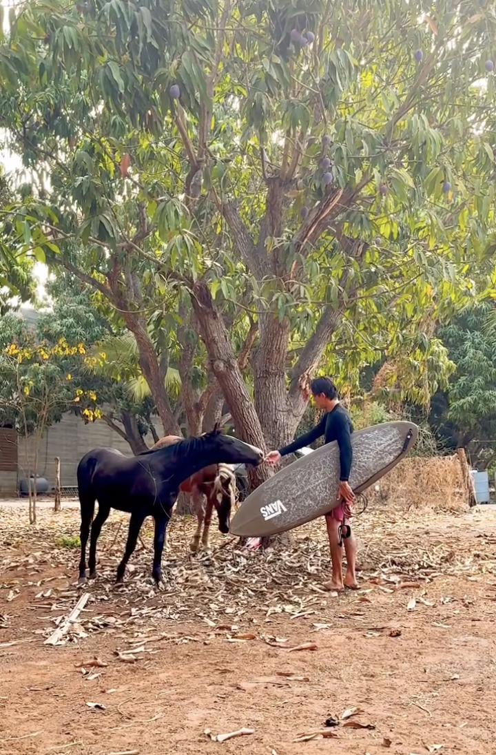 Horseback Riding – Playa La Saladita